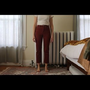 Everlane Limited Edition Rust Denim Jeans